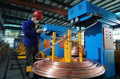 頭雁領航，雁陣齊飛 上海金山“光電傳輸谷”驅動金屬制品產業集群提級增效